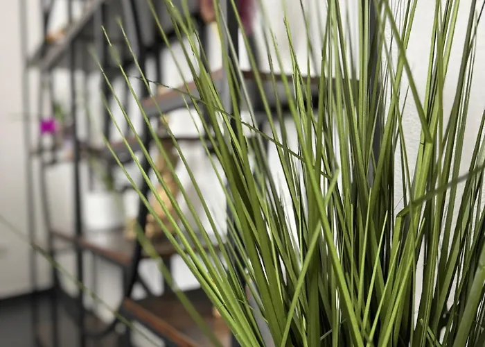 Loft Style Holiday home